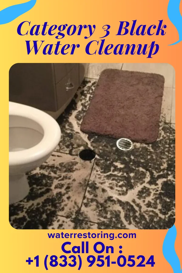 Category 3 Black Water Cleanup in Rockwood, PA