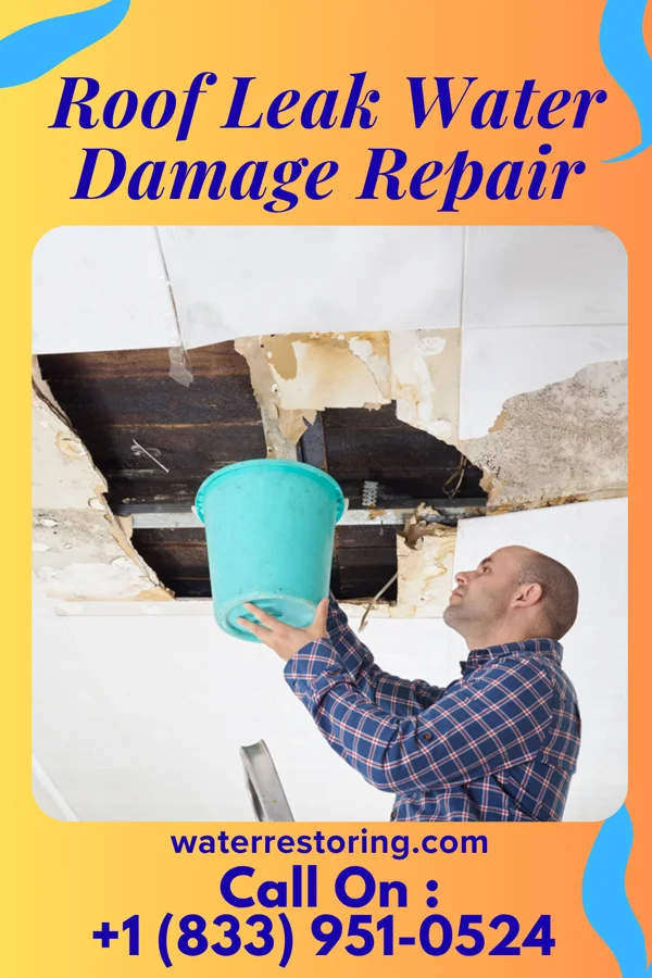 Roof Leak Water Damage Repair in Rockwood, PA