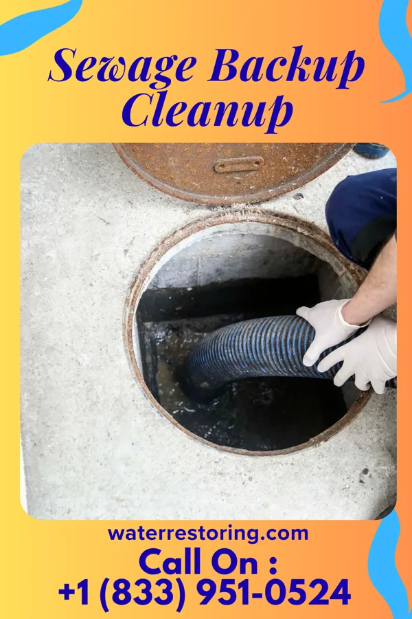 Sewage Backup Cleanup in Rockwood, PA
