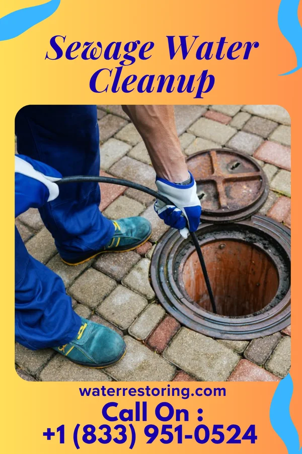 Sewage Water Cleanup in Rockwood, PA