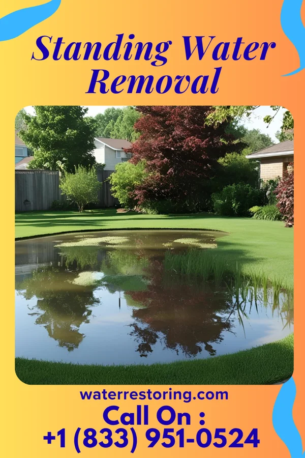 Standing Water Removal in Rockwood, PA